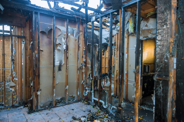 Professional Emergency Fire Cleanup technician working in DuPont, WA